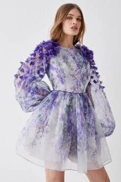 Coast Hand Stitched 3d Floral Organza Mini Dress 9 Coast Hand Stitched 3d Floral Organza Mini Dress -Simply Feminine Shop bcc04572 lilac xl 2