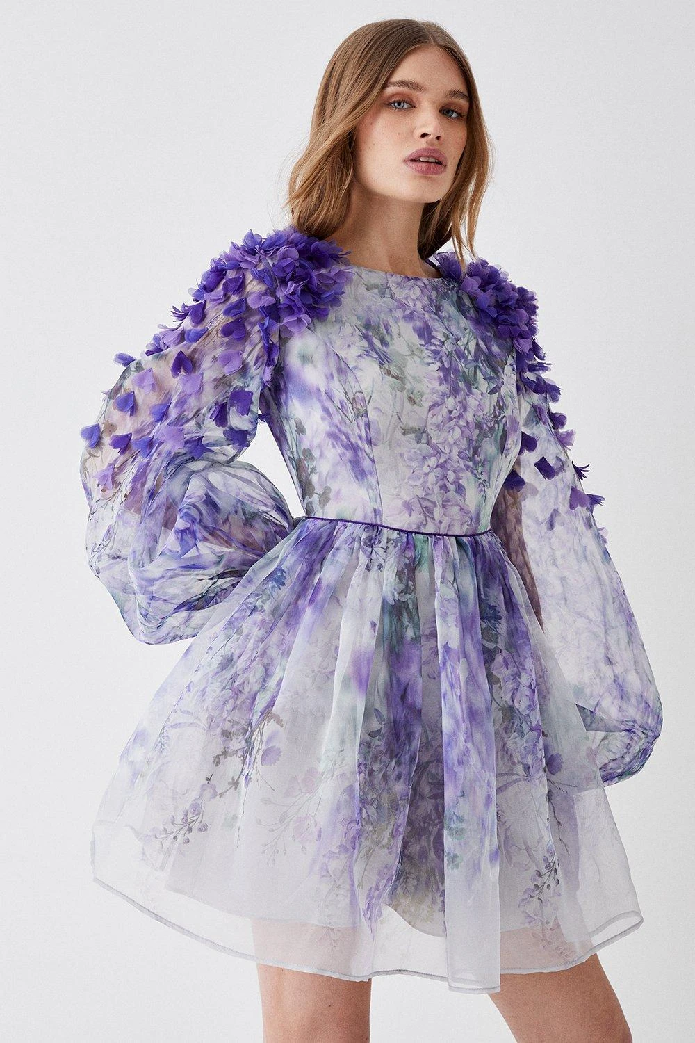 Coast Hand Stitched 3d Floral Organza Mini Dress 5 Coast Hand Stitched 3d Floral Organza Mini Dress - Image 3