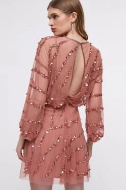 Coast Hand Embellished Mini Dress 8 Coast Hand Embellished Mini Dress -Simply Feminine Shop bcc04652 rose xl 2