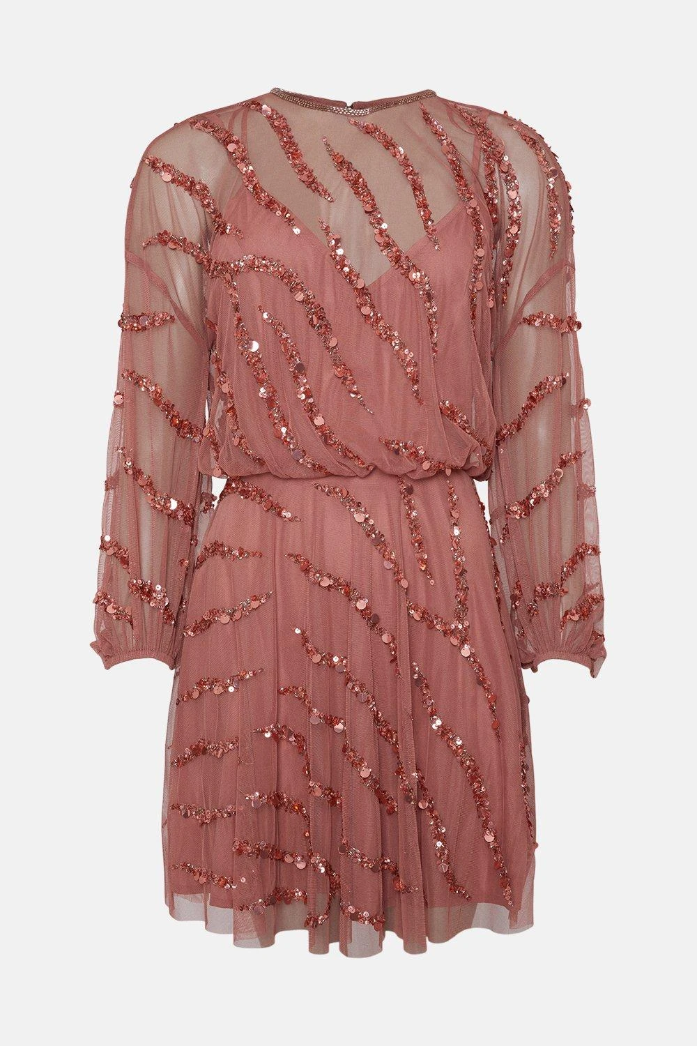 Coast Hand Embellished Mini Dress 6 Coast Hand Embellished Mini Dress - Image 4