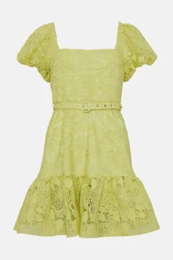 Coast Square Neck Lace Mini Dress 9 Coast Square Neck Lace Mini Dress -Simply Feminine Shop bcc04827 lime xl 3