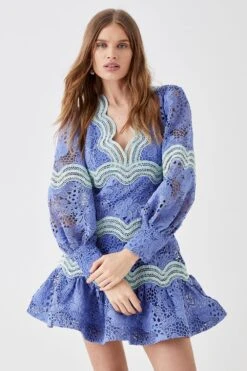 Coast Lace Blouson Sleeve Trim Detail Mini Dress