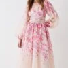 Coast Organza Floral Placement Lace Trim Midaxi Dress -Simply Feminine Shop bcc05182 blush xl