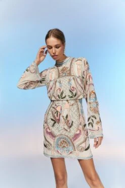 Coast The Collector Hand Embellished Mini Dress With Long Sleeve