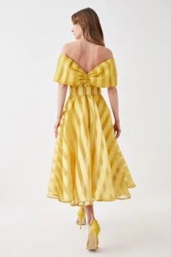 Coast Bardot Midi Dress In Stripe Organza -Simply Feminine Shop bcc05690 chartreuse xl 2