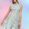 Coast The Collector Applique Lace Mini Dress