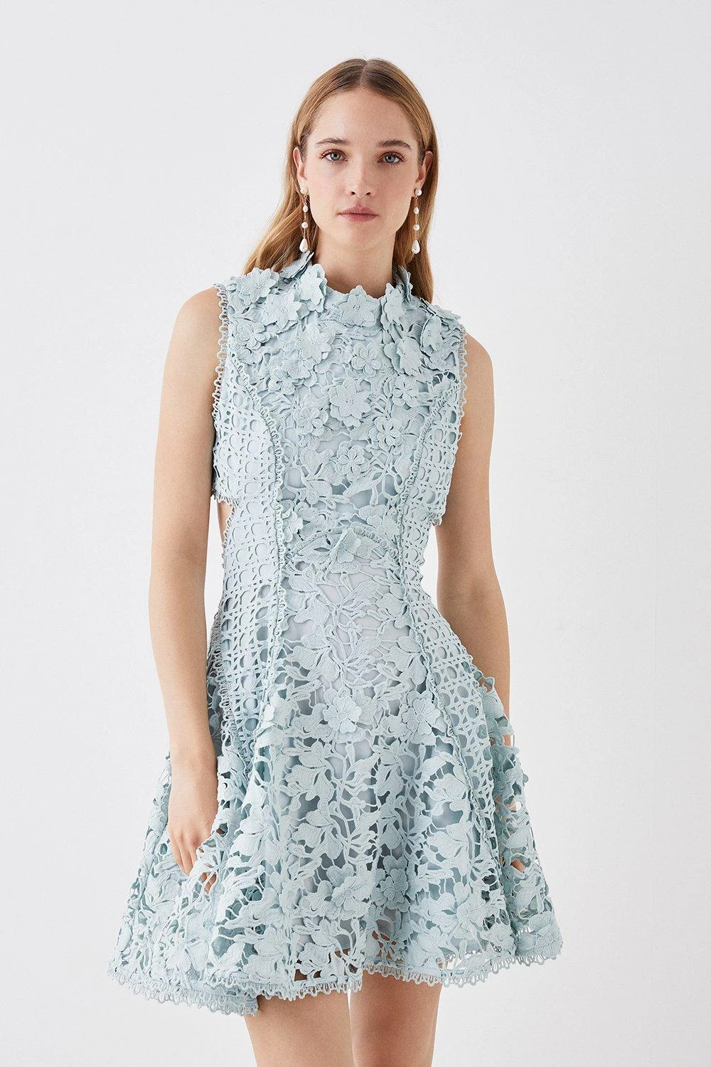 Coast The Collector Applique Lace Mini Dress 4 Coast The Collector Applique Lace Mini Dress - Image 2