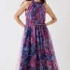 Coast Printed Mesh Frill Neck Midi Dress