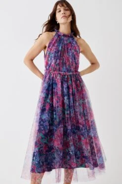 Coast Printed Mesh Frill Neck Midi Dress