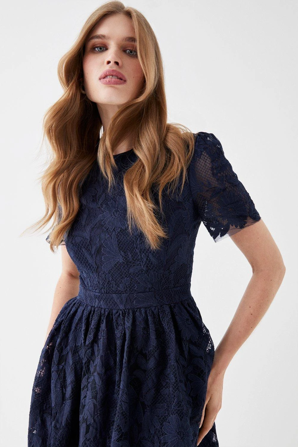 Coast Lace Midi Dress 4 Coast Lace Midi Dress - Image 2