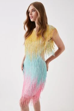 Coast Beaded Fringe Colourblock Mini Dress